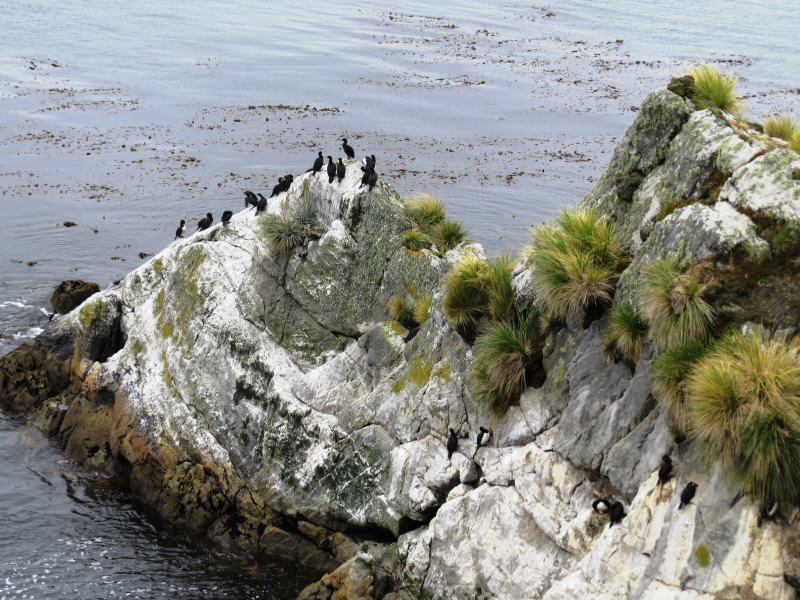 Pictures from the Falkland Islands