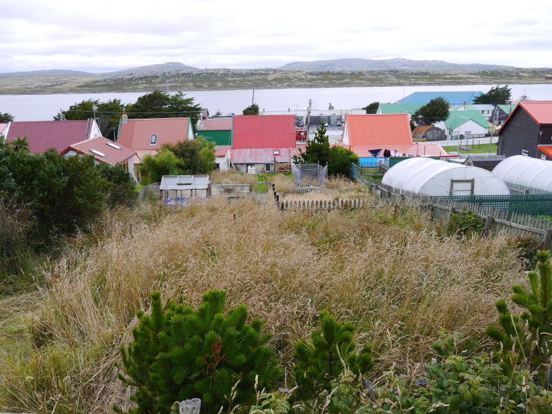 Pictures from the Falkland Islands