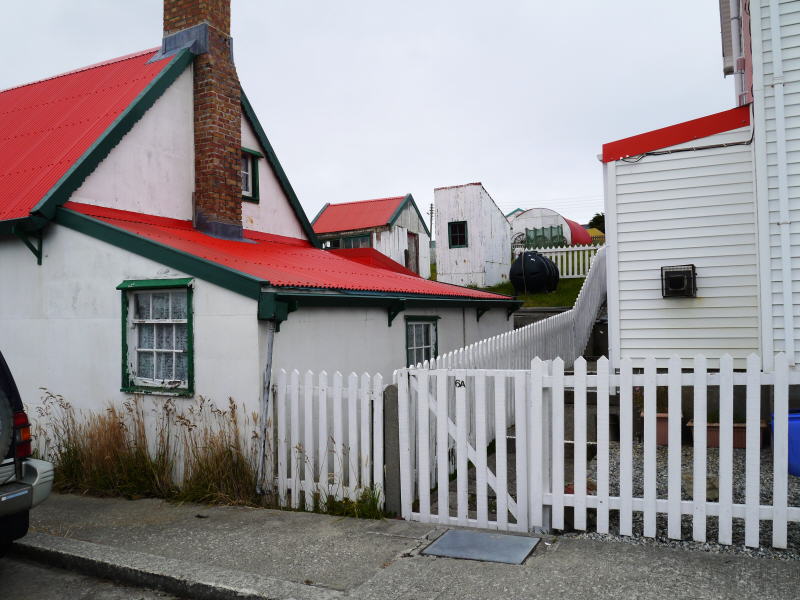 Pictures from the Falkland Islands