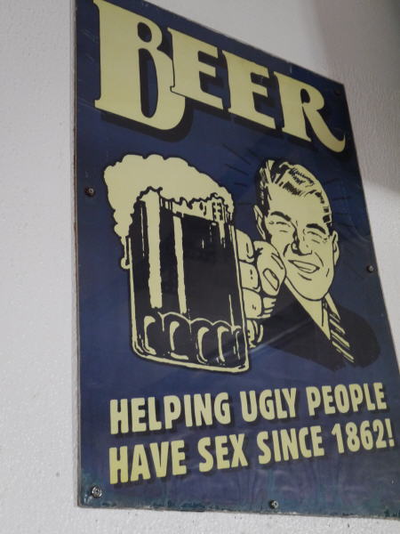 Pictures from the Falkland Islands