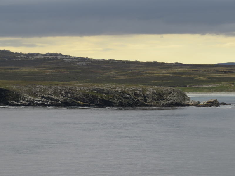 Pictures from the Falkland Islands