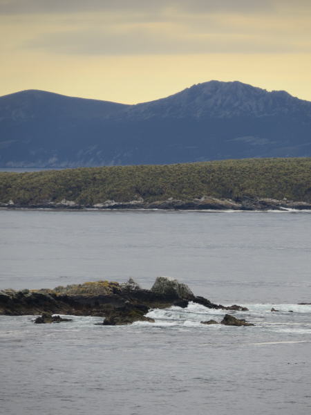 Pictures from the Falkland Islands