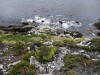 Pictures from Falkland Islands
