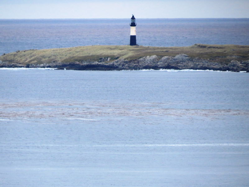 Pictures from the Falkland Islands