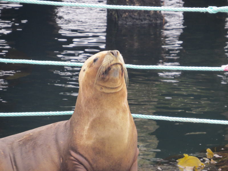 Pictures from the Falkland Islands