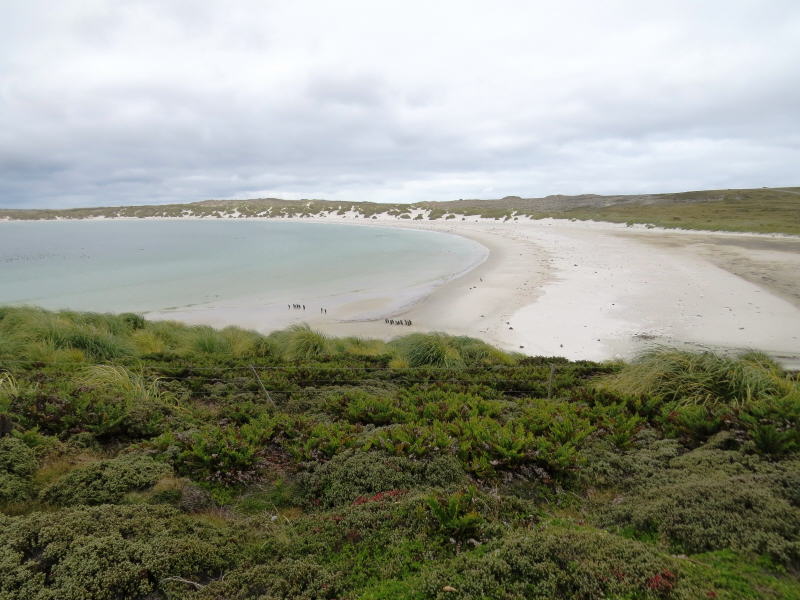 Pictures from the Falkland Islands