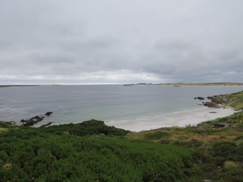 Pictures from the Falkland Islands