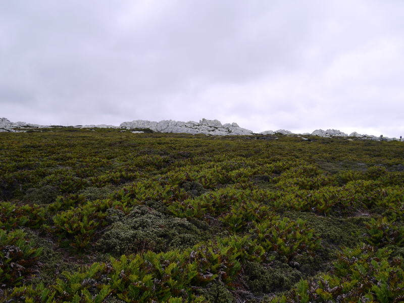 Pictures from the Falkland Islands