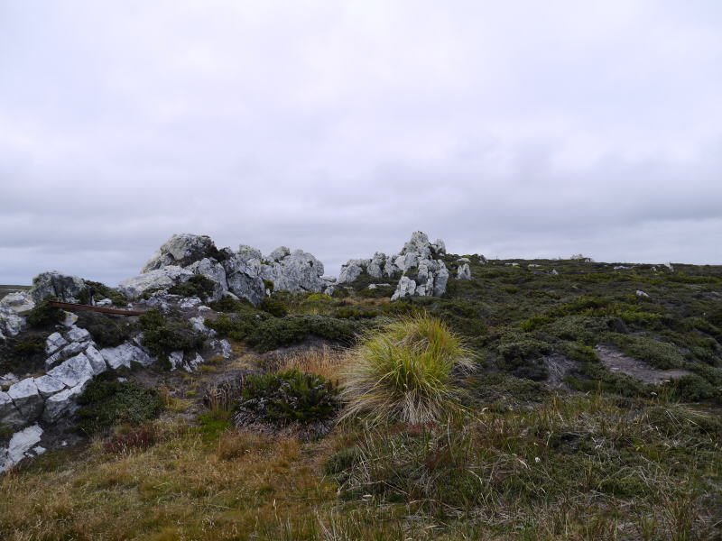 Pictures from the Falkland Islands