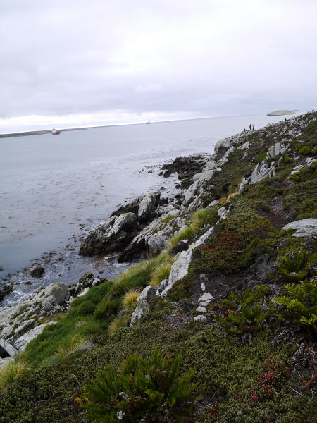 Pictures from the Falkland Islands