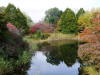 Pictures from Canada
