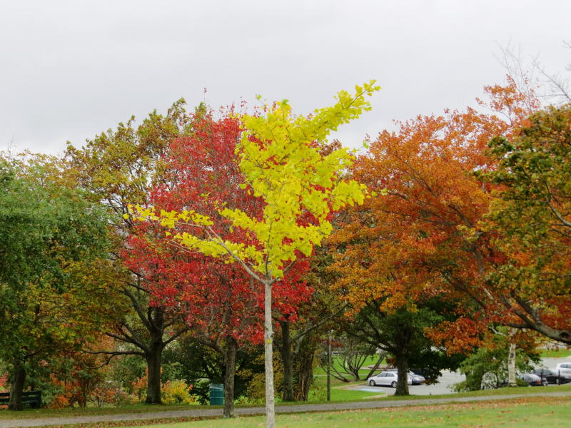 Pictures from Canada