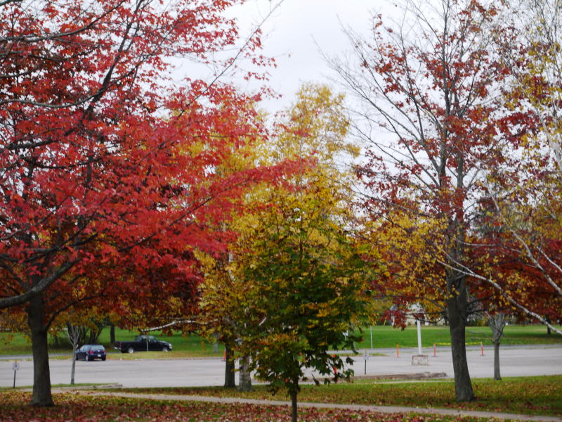 Pictures from Prince Edward Island