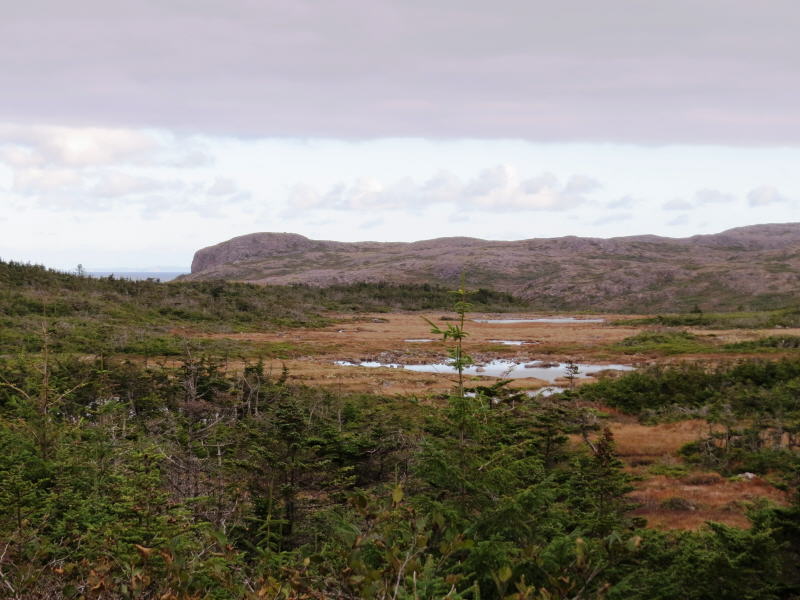 St. Pierre & Miquelon