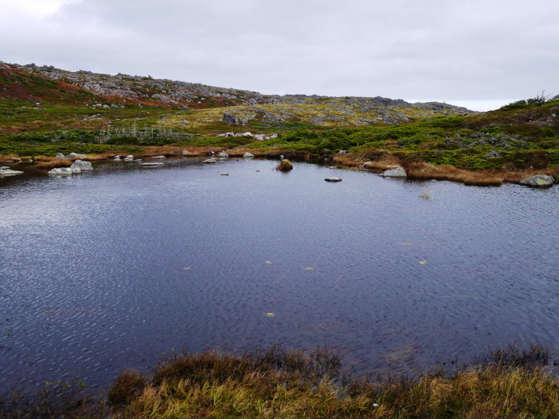 St. Pierre & Miquelon