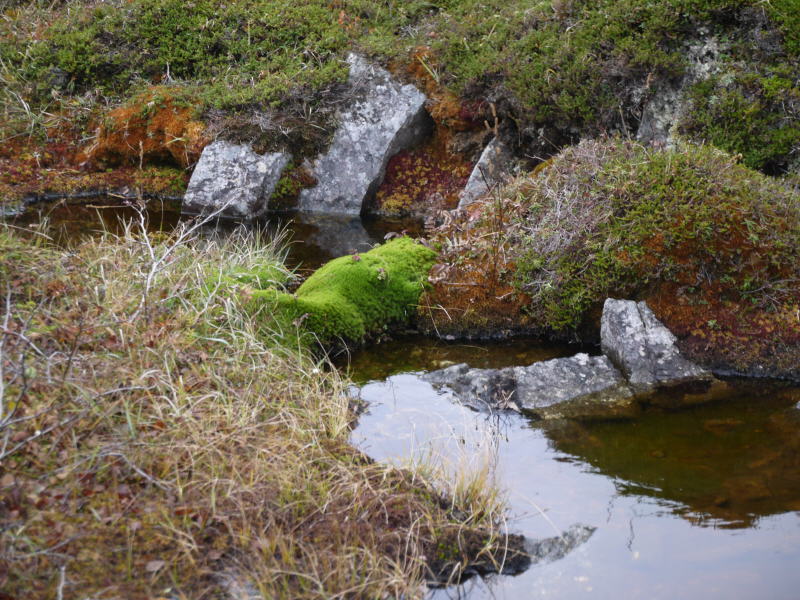 St. Pierre & Miquelon