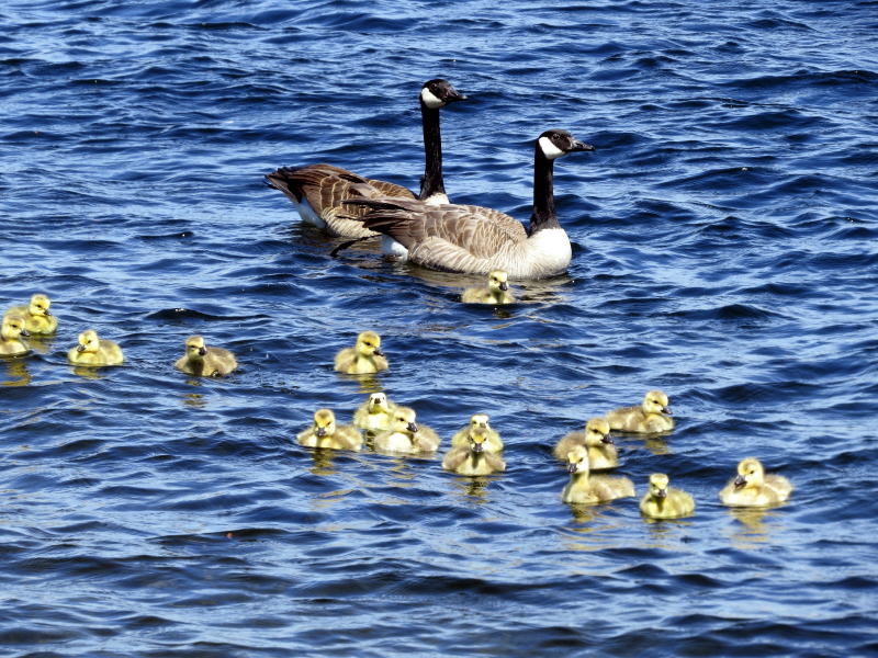 Pictures from Seattle