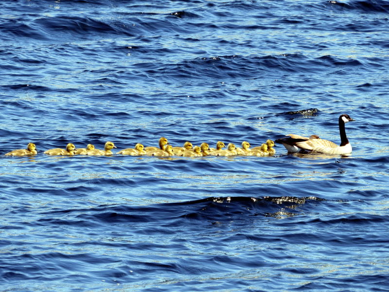 Pictures from Seattle