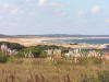 Pictures from Uruguay
