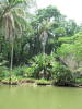 Pictures from Puerto Rico

