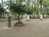 Pictures from Puerto Rico
