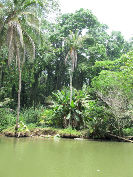 Pictures from Puerto Limon