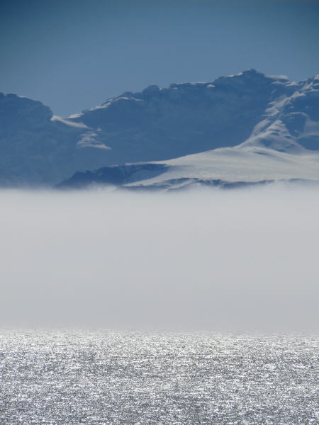 Pictures from the Antarctica