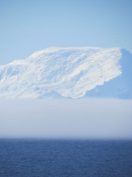 Pictures from the Antarctica