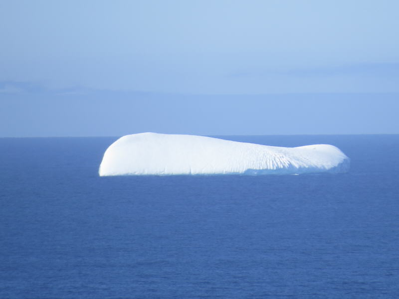 Pictures from the Antarctica