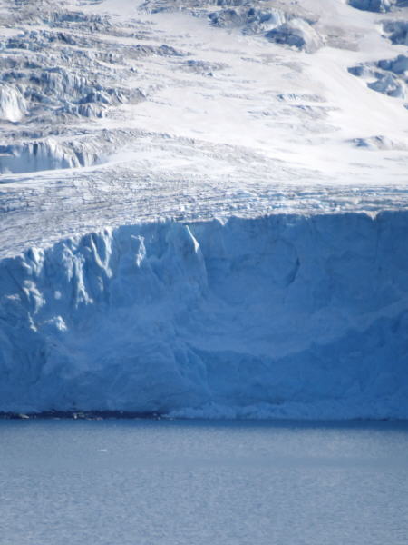 Pictures from the Antarctica