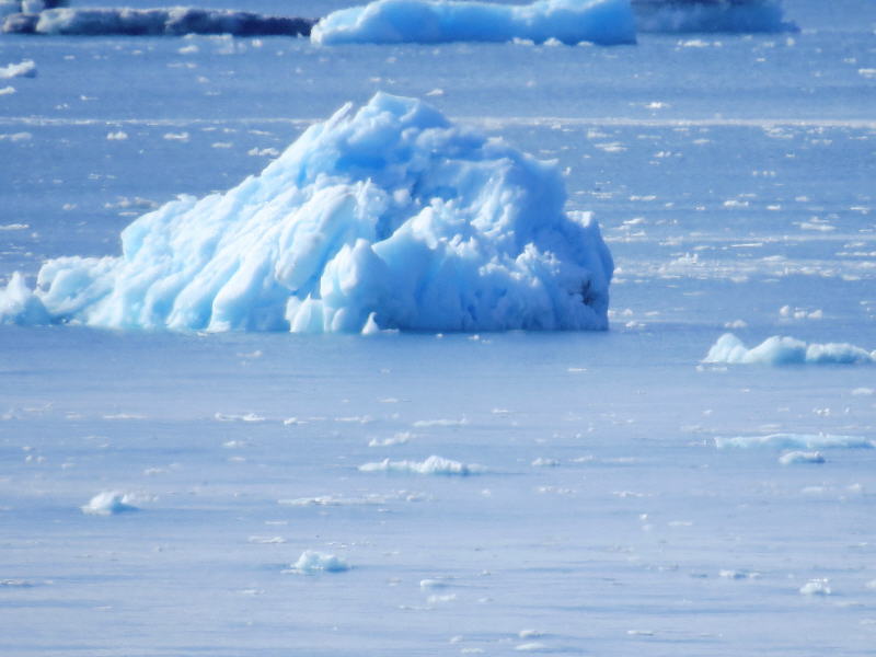 Pictures from the Antarctica