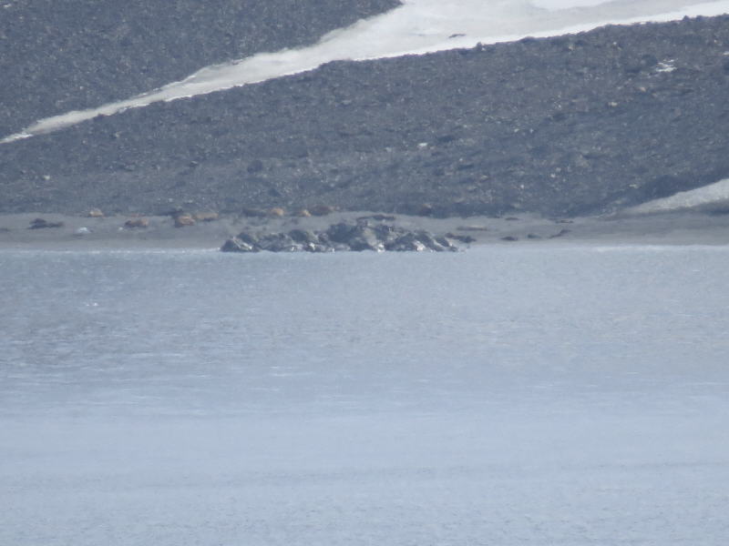 Pictures from the Antarctica