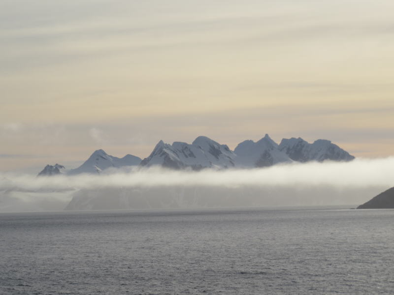 Pictures from the Antarctica