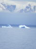 Pictures from Antarctica