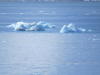 Pictures from Antarctica