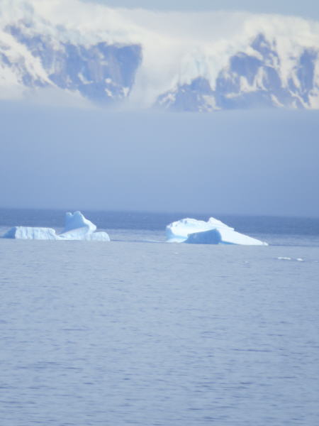 Pictures from the Antarctica