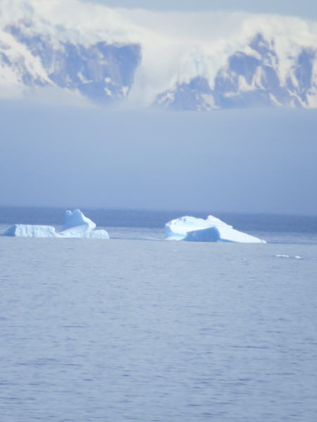 Pictures from the Antarctica