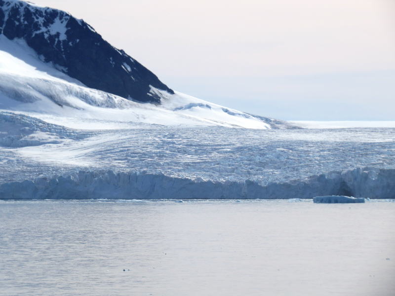 Pictures from the Antarctica