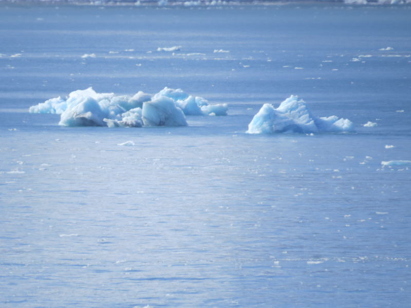 Pictures from the Antarctica