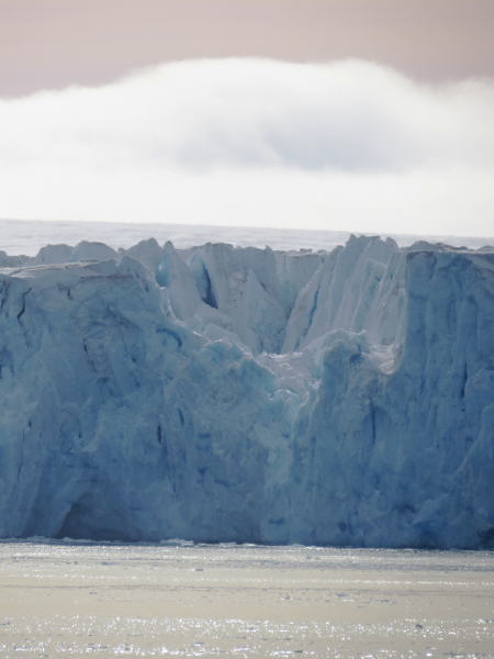 Pictures from the Antarctica