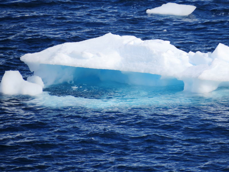 Pictures from the Antarctica