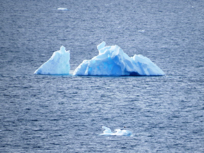 Pictures from the Antarctica