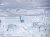 Pictures from Antarctica