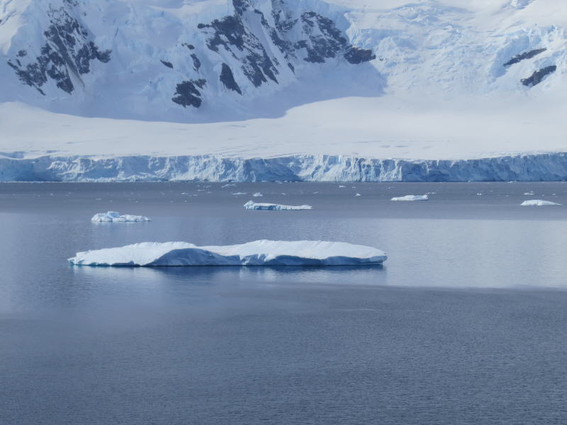 Pictures from the Antarctica