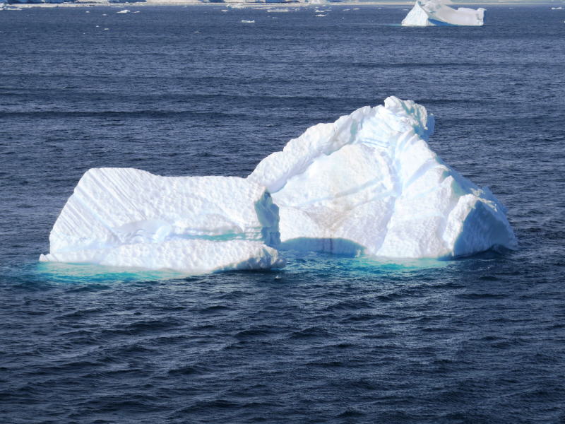 Pictures from the Antarctica