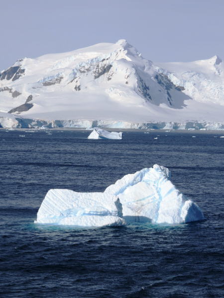 Pictures from the Antarctica