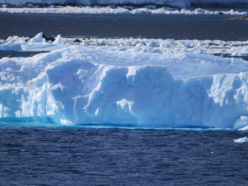 Pictures from the Antarctica