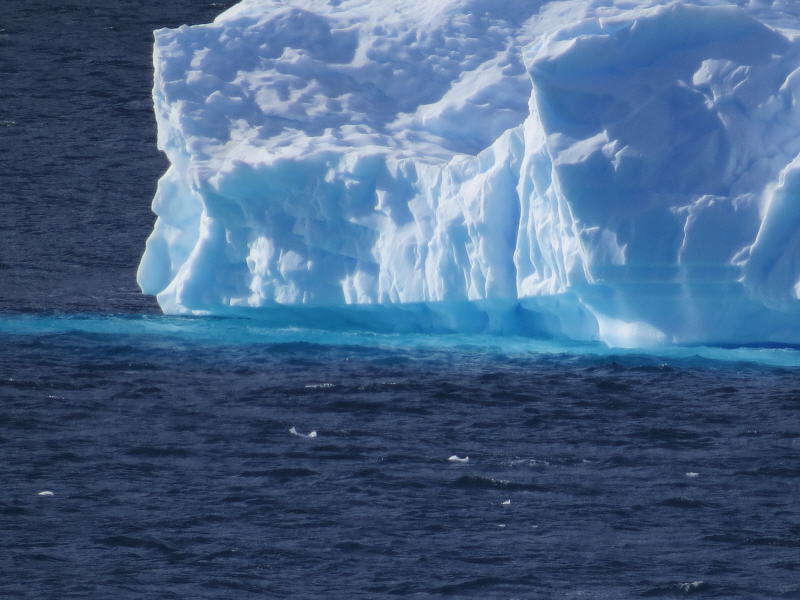 Pictures from the Antarctica