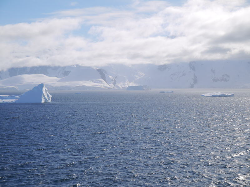 Pictures from the Antarctica