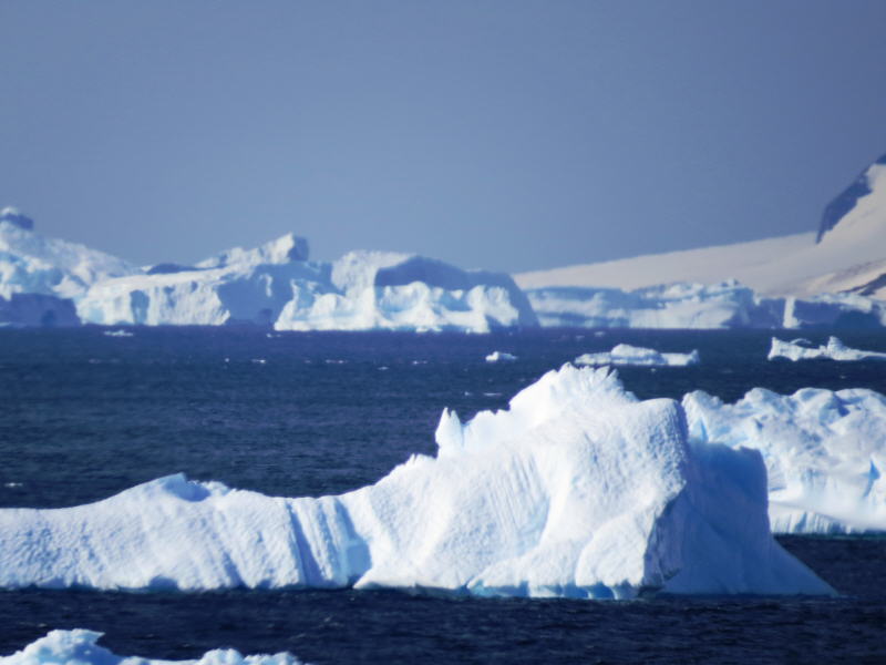 Pictures from the Antarctica